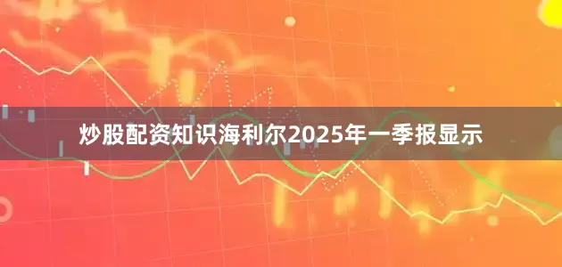 炒股配资知识海利尔2025年一季报显示