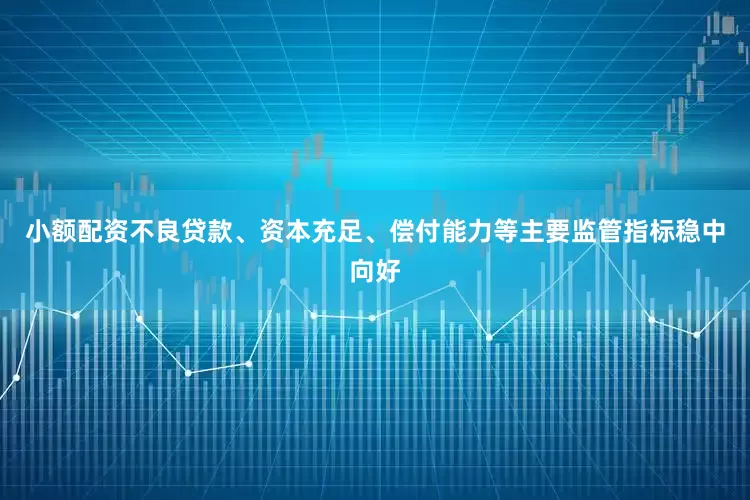 小额配资不良贷款、资本充足、偿付能力等主要监管指标稳中向好