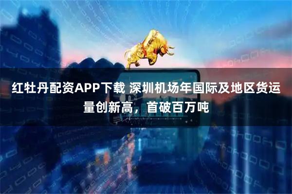 红牡丹配资APP下载 深圳机场年国际及地区货运量创新高，首破百万吨