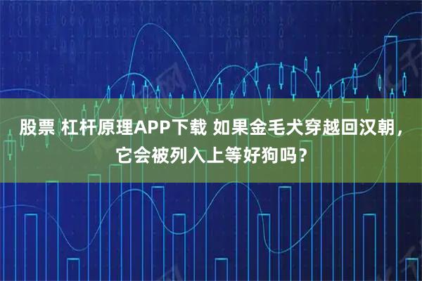 股票 杠杆原理APP下载 如果金毛犬穿越回汉朝，它会被列入上等好狗吗？