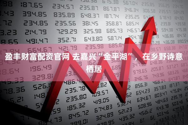 盈丰财富配资官网 去嘉兴“金平湖”，在乡野诗意栖居